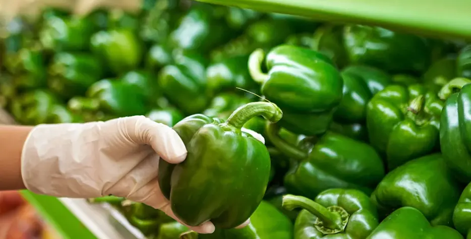Organic farms avoid toxic inputs, improve soil health, grow clean, sustainable food that supports nature.