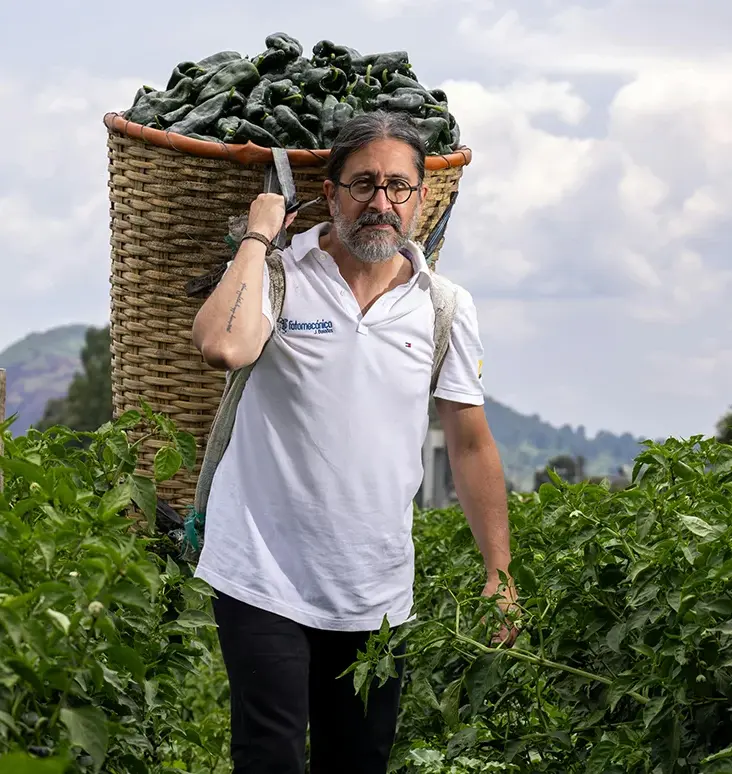 Organic farms avoid toxic inputs, improve soil health, grow clean, sustainable food that supports nature.